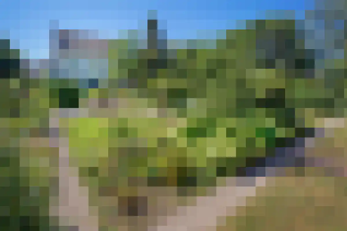 Kommelderweg 1 Geulle thumbnail 34