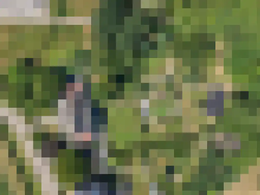 Kommelderweg 1 Geulle thumbnail 38