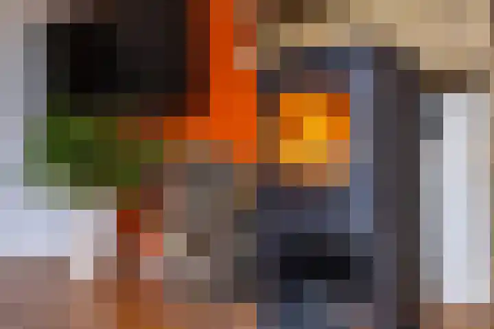 Kommerdijk 13 Gendt thumbnail 11