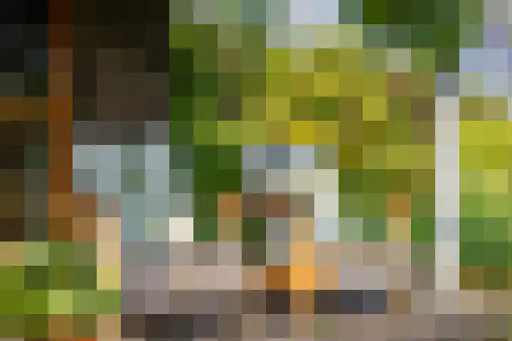 Kommerdijk 13 Gendt thumbnail 25