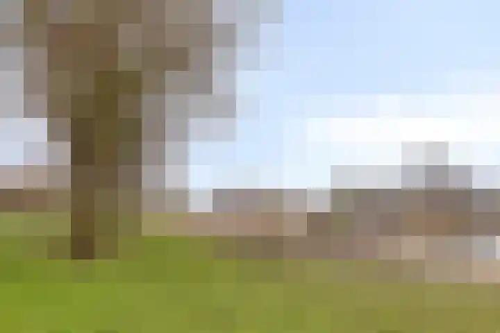 Kommerdijk 13 Gendt thumbnail 27