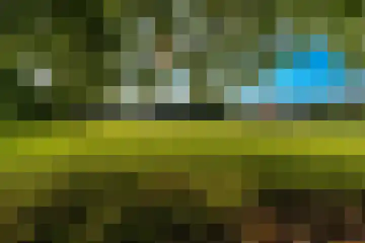 Kommerdijk 13 Gendt thumbnail 28