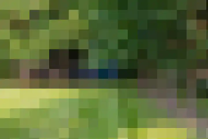 Kommerdijk 13 Gendt thumbnail 32