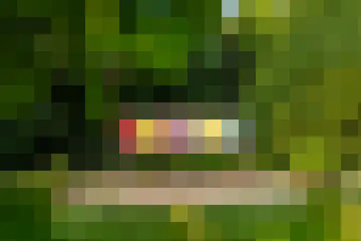Kommerdijk 13 Gendt thumbnail 33