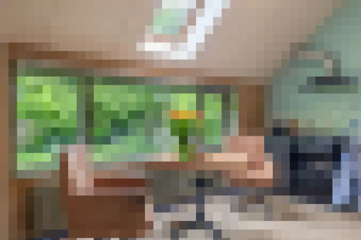 Kommerdijk 4 Erica thumbnail 11