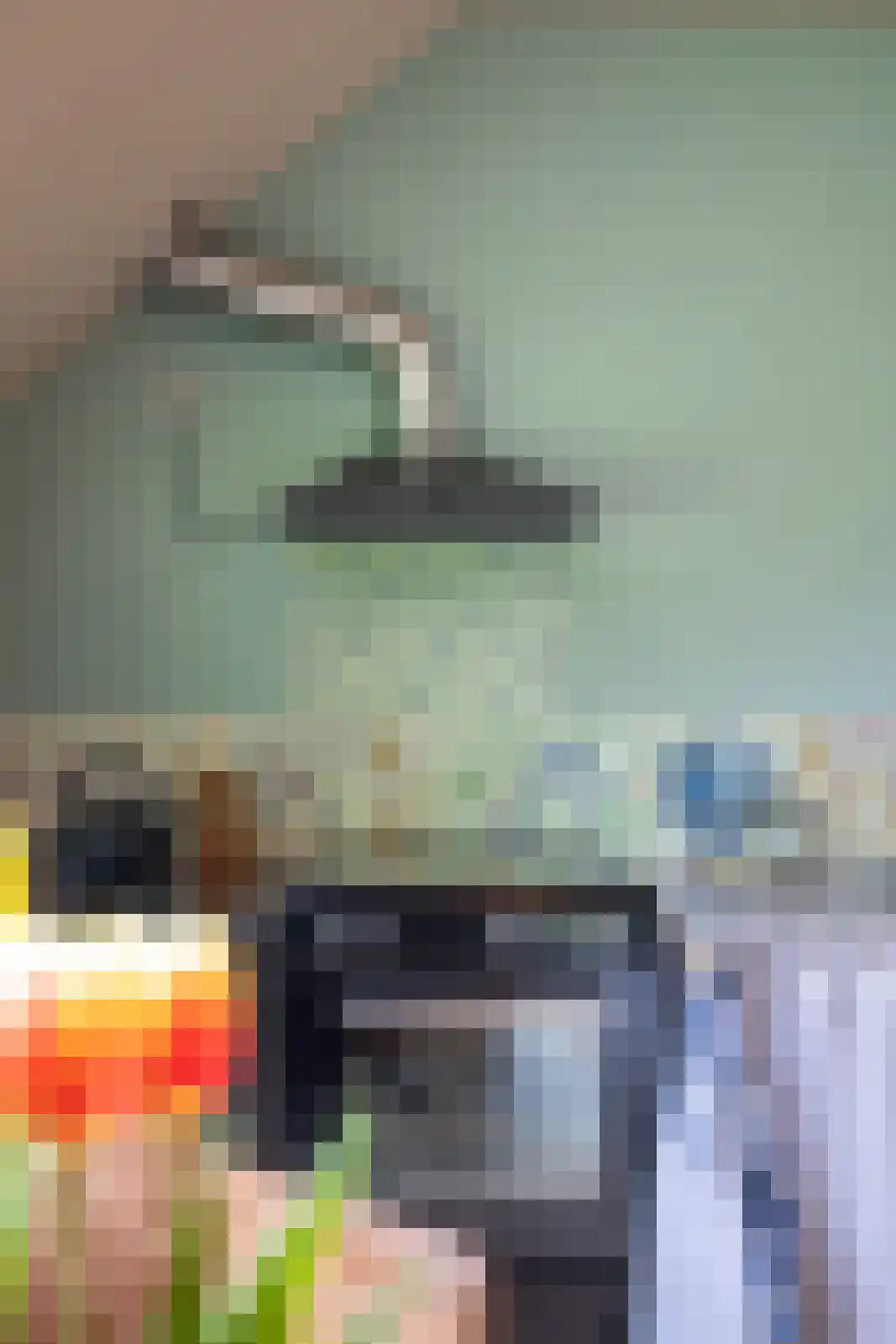 Kommerdijk 4 Erica thumbnail 12