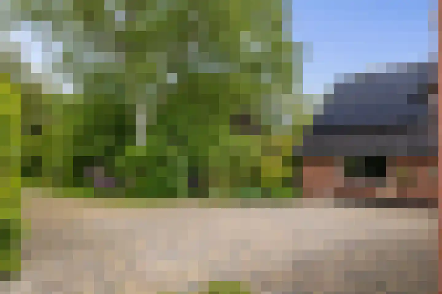 Kommerdijk 4 Erica thumbnail 31
