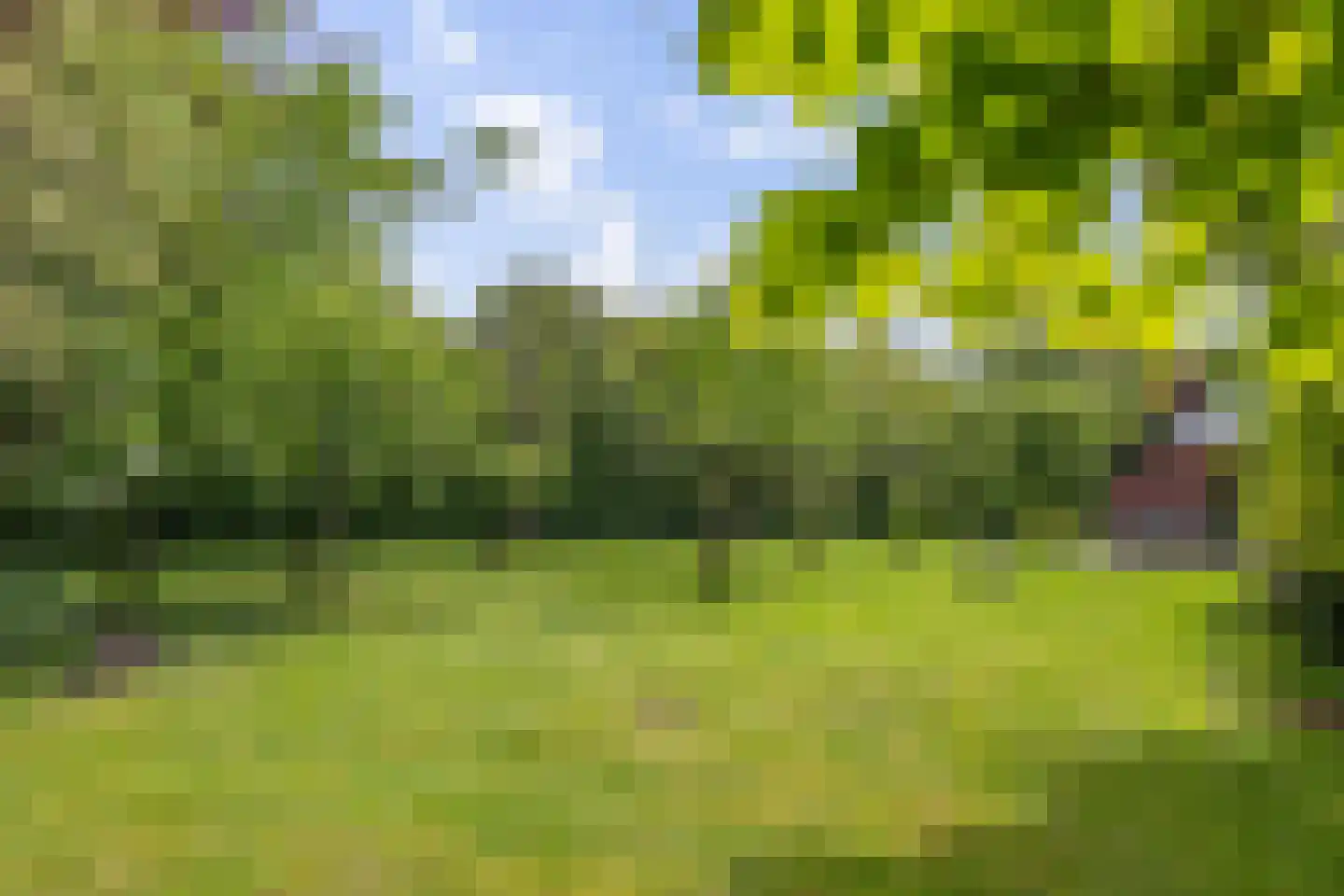 Kommerdijk 4 Erica thumbnail 35