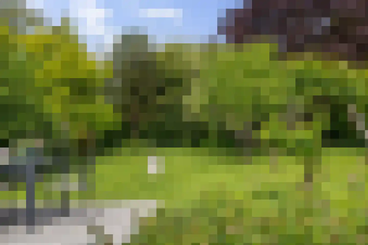 Kommerdijk 4 Erica thumbnail 36
