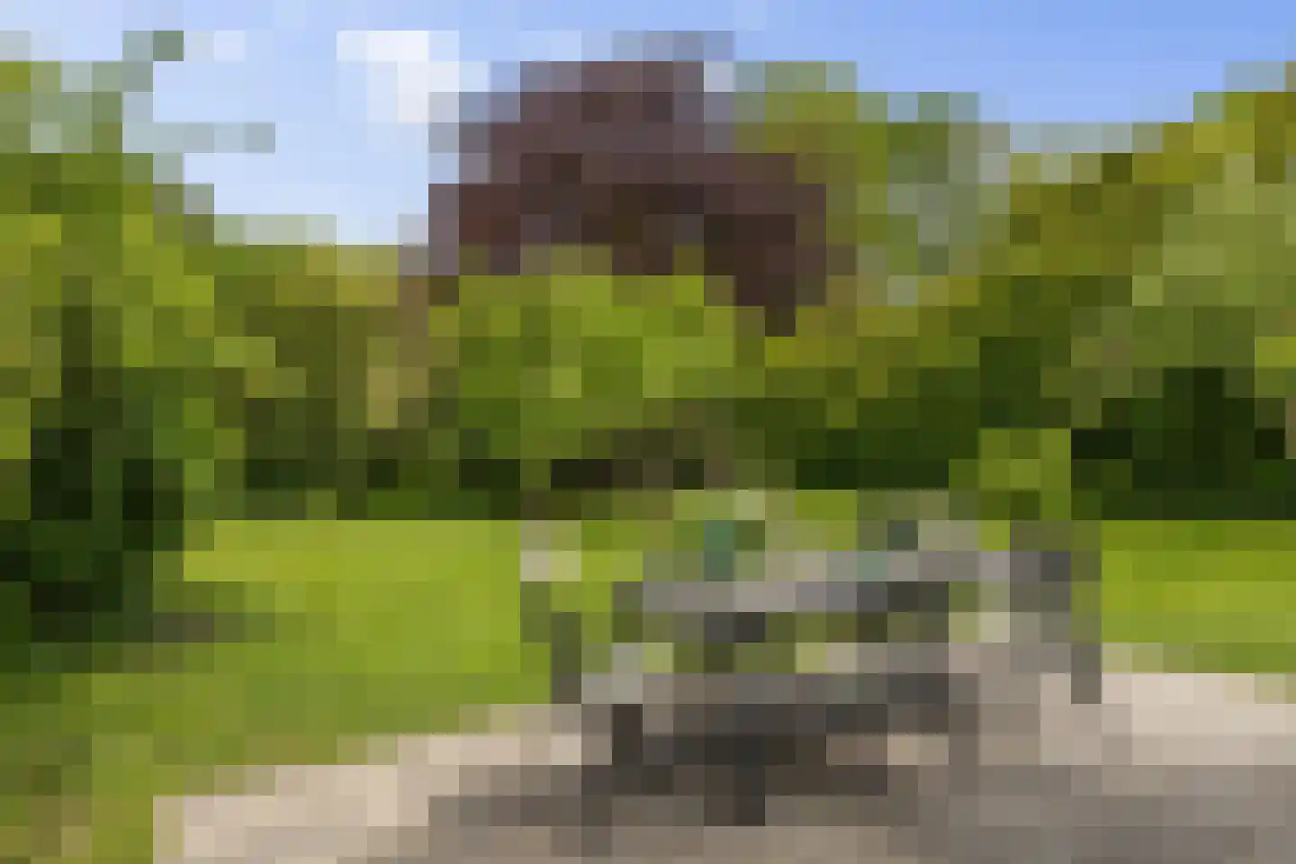Kommerdijk 4 Erica thumbnail 37