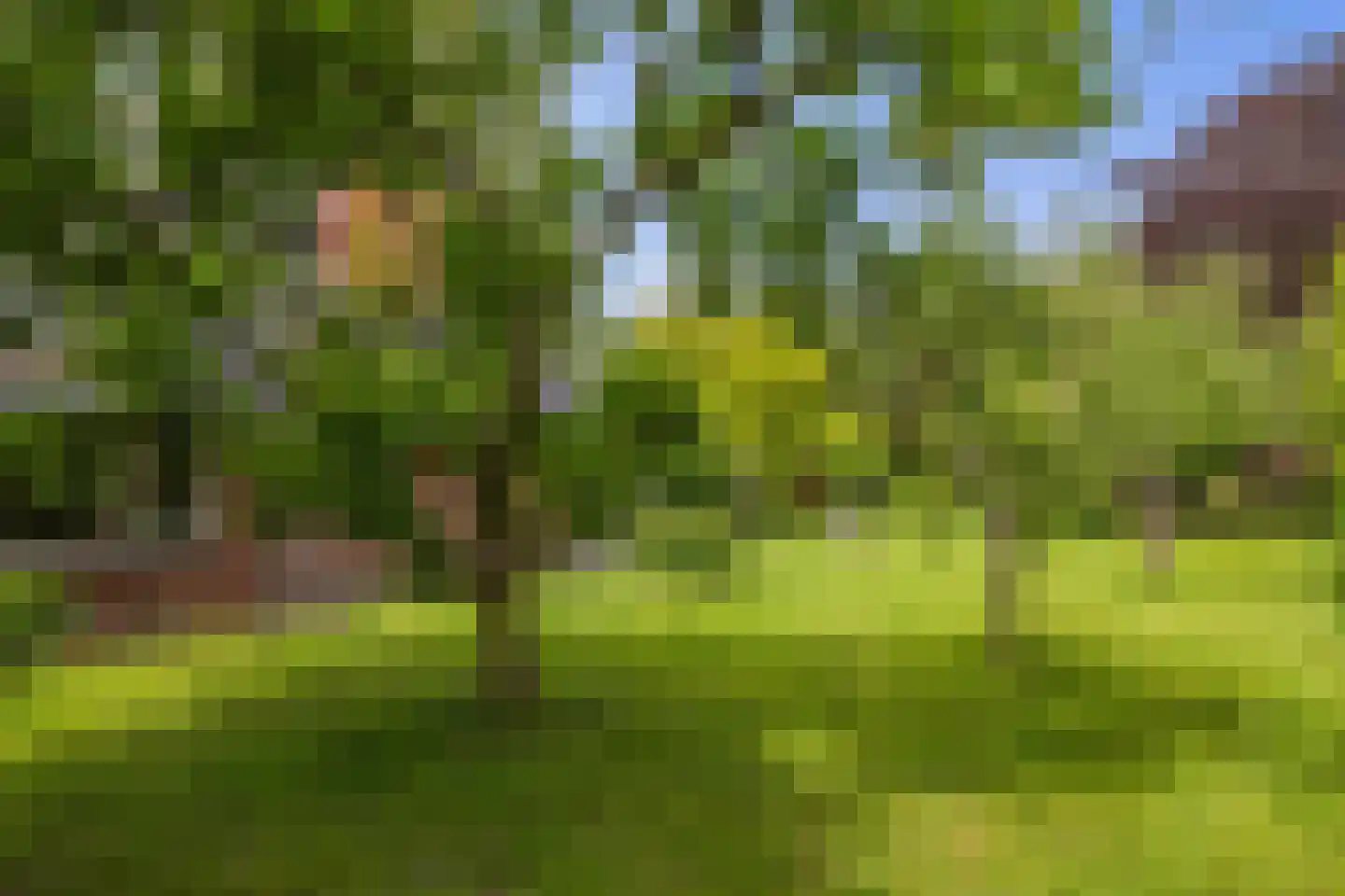 Kommerdijk 4 Erica thumbnail 38