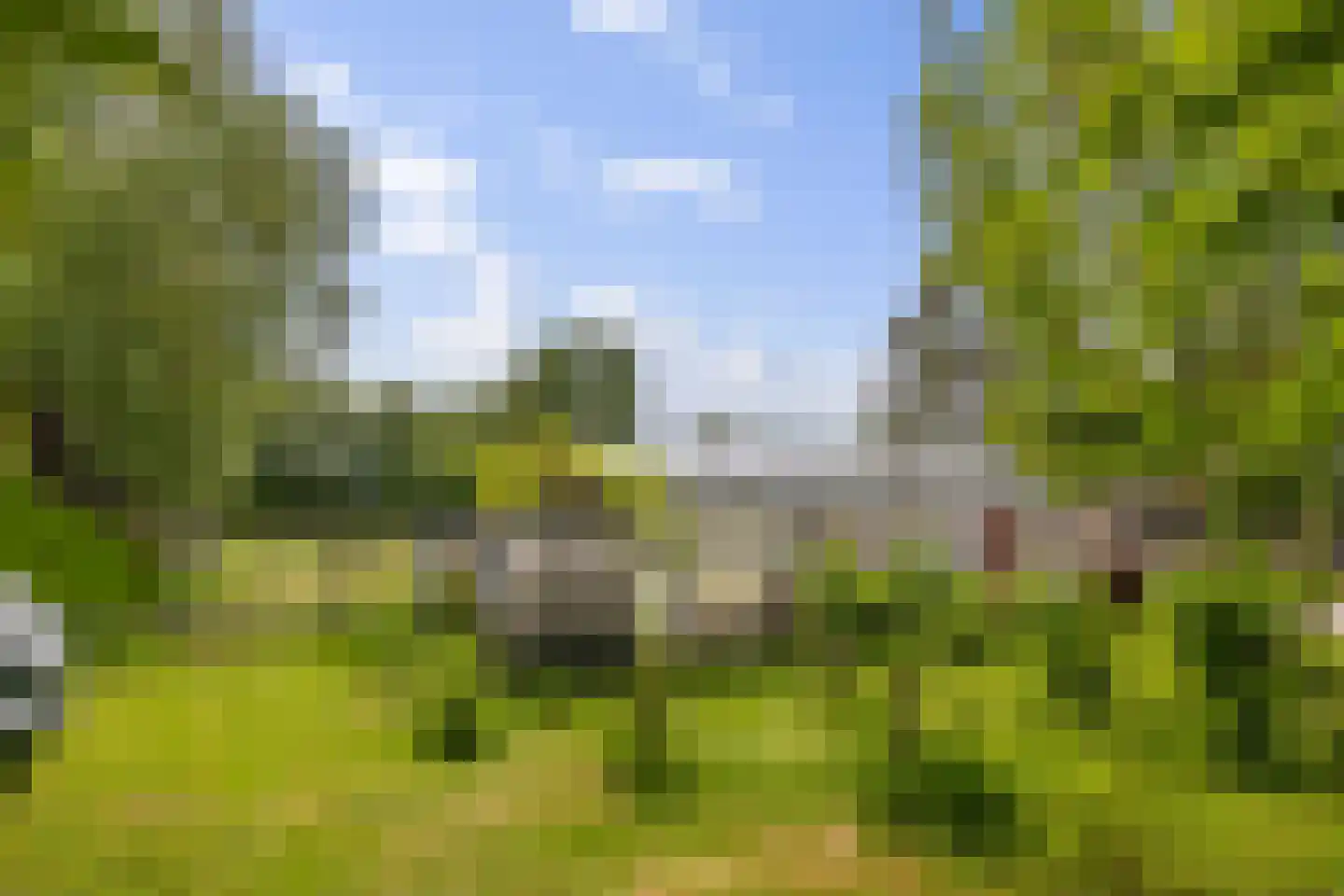 Kommerdijk 4 Erica thumbnail 39