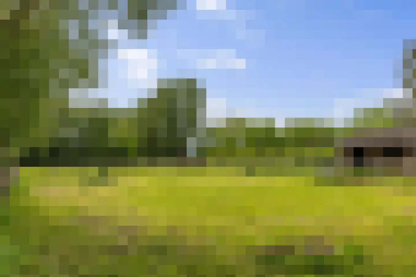 Kommerdijk 4 Erica thumbnail 40