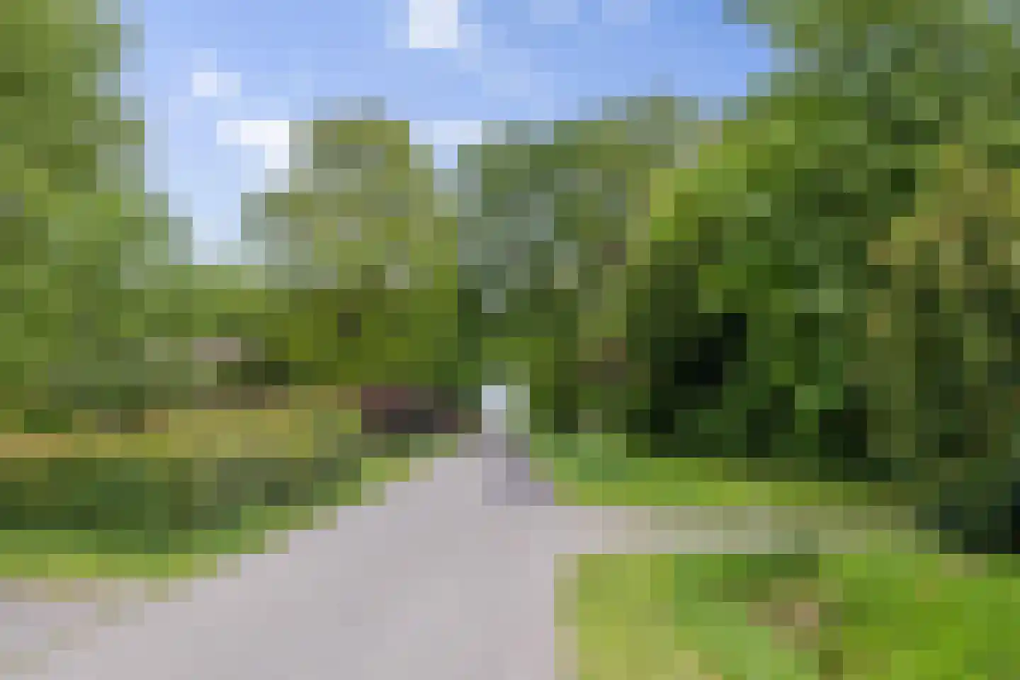 Kommerdijk 4 Erica thumbnail 44