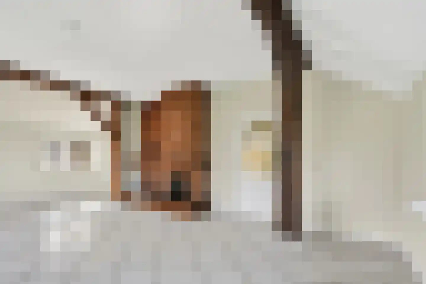 Kommerdijk 5 Erica thumbnail 10