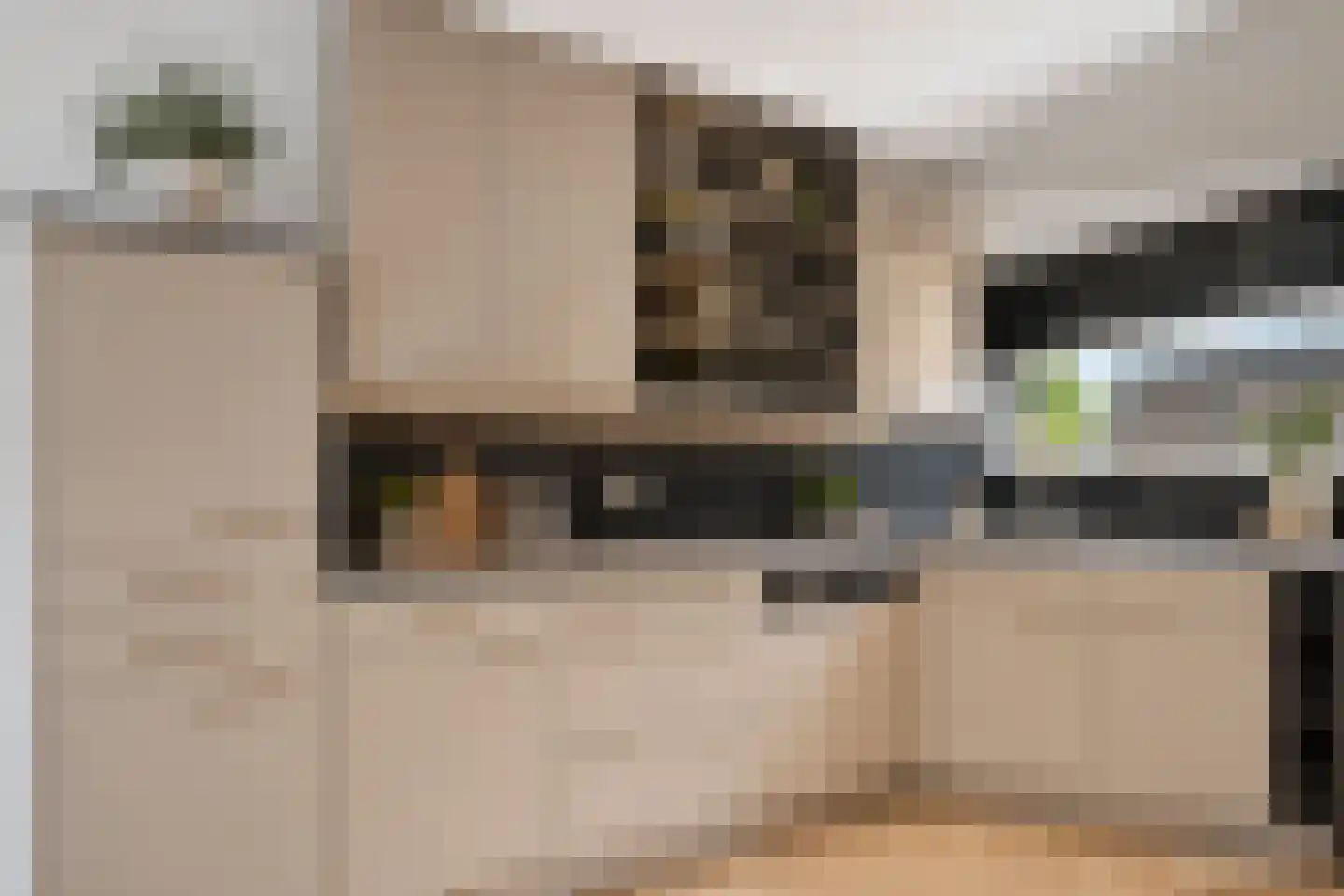 Kommerdijk 5 Erica thumbnail 17