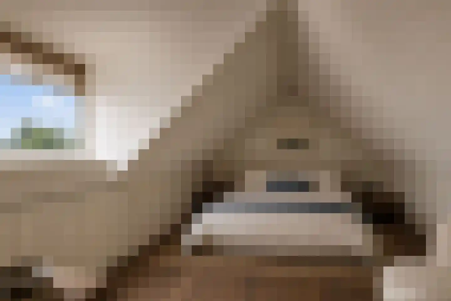 Kommerdijk 5 Erica thumbnail 31