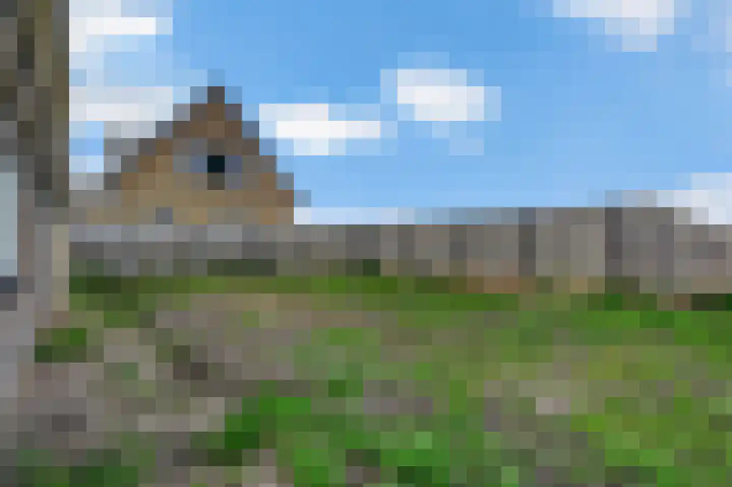 Kommerdijk 5 Erica thumbnail 43