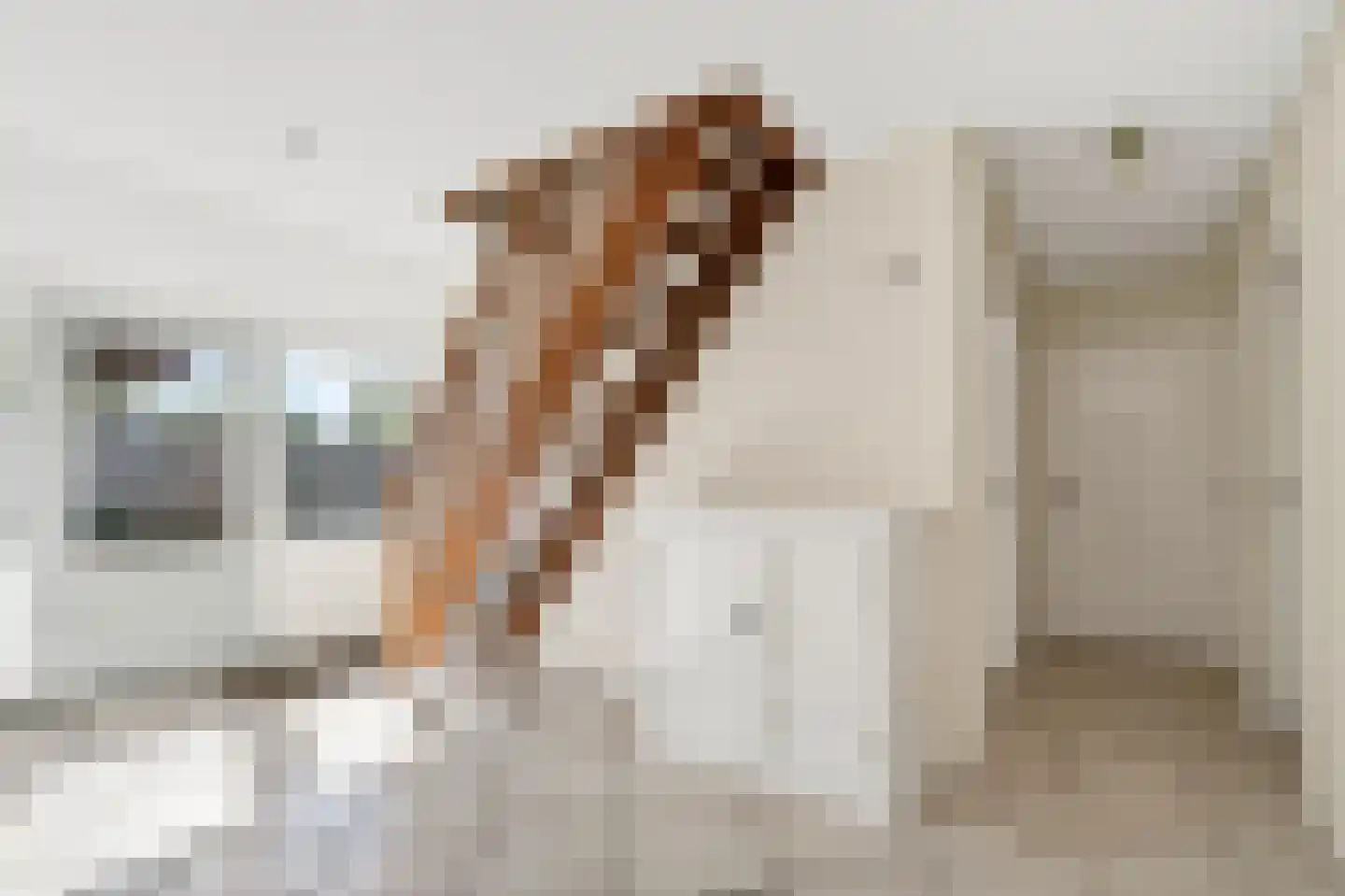 Kommerdijk 5 Erica thumbnail 5
