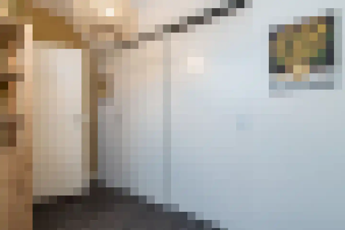 Kommerstraat 3 Zaltbommel thumbnail 40