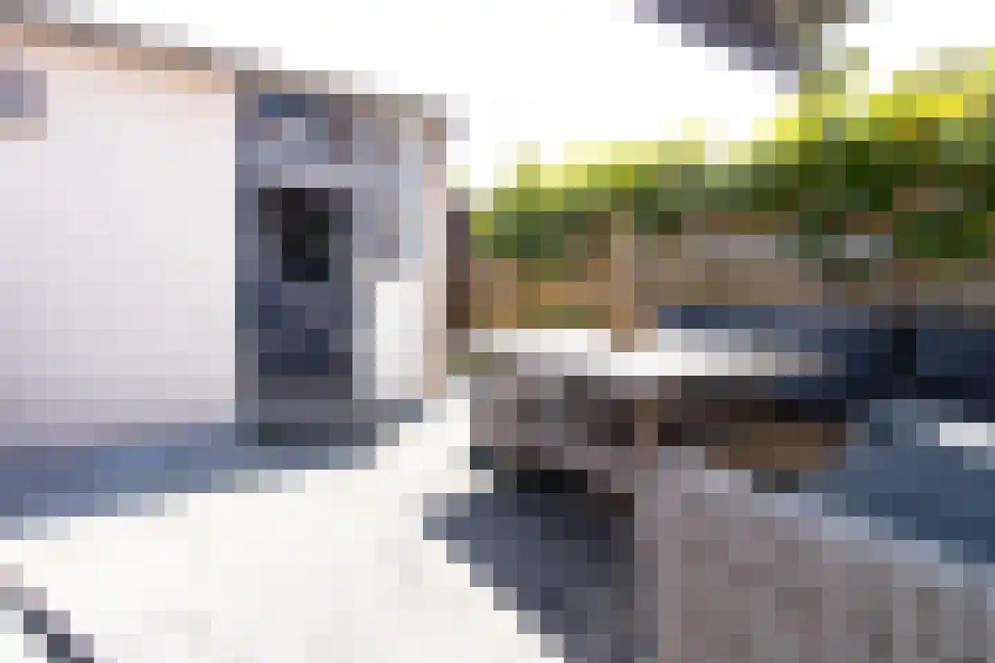 Kommerstraat 3 Zaltbommel thumbnail 44