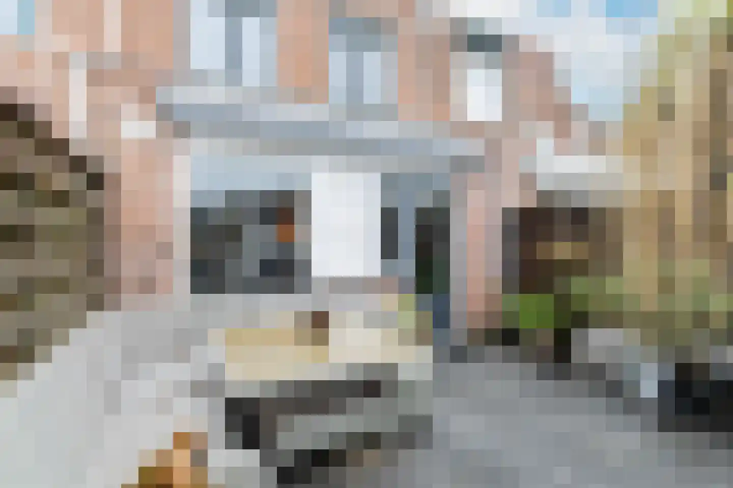 Kommerstraat 3 Zaltbommel thumbnail 46