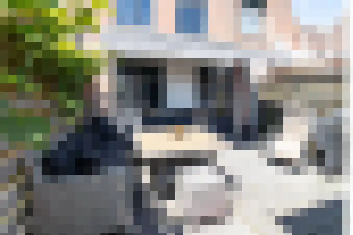 Kommerstraat 3 Zaltbommel thumbnail 46
