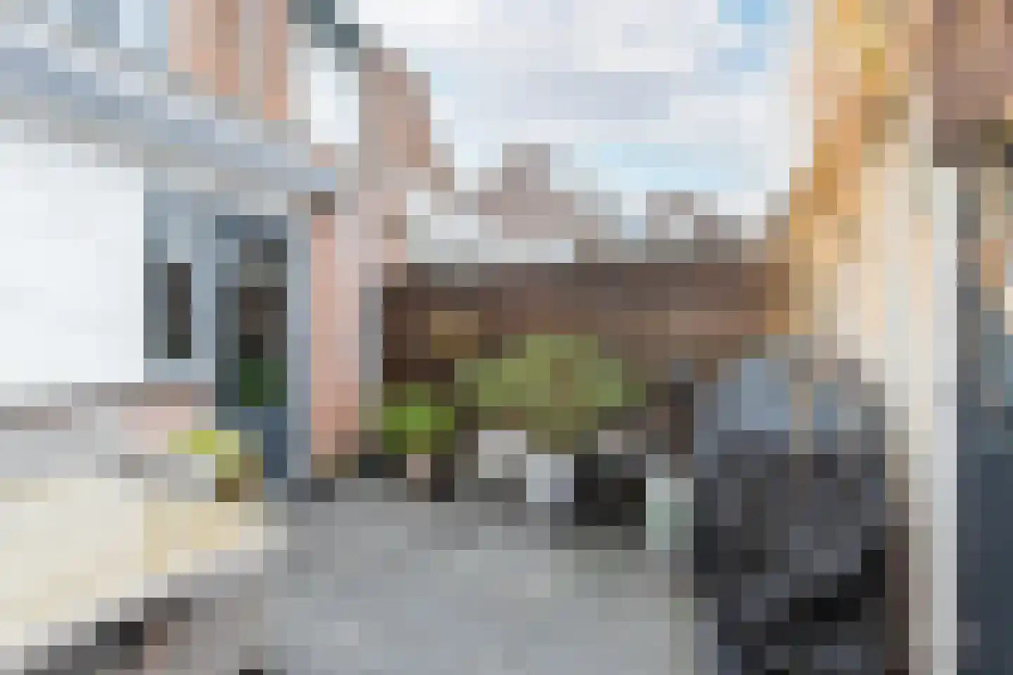 Kommerstraat 3 Zaltbommel thumbnail 47