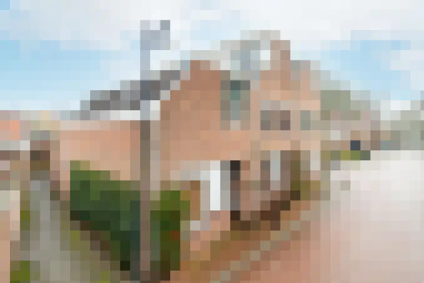 Kommerstraat 3 Zaltbommel thumbnail 53
