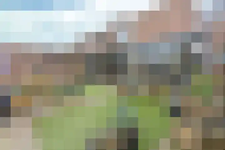 Kommerstraat 6 Bocholtz thumbnail 19