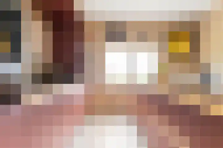Kommerweg 3 Erica thumbnail 16