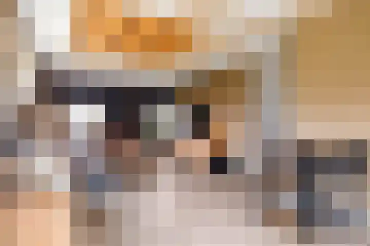 Kommerweg 3 Erica thumbnail 30