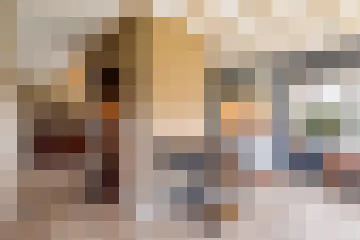 Kommerweg 3 Erica thumbnail 33