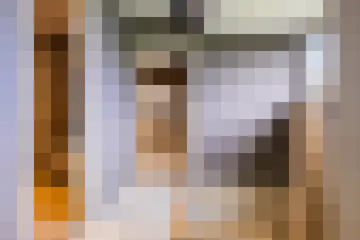 Kommerweg 3 Erica thumbnail 34