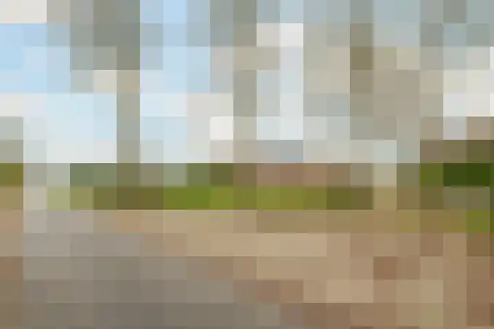 Kommerweg 3 Erica thumbnail 4