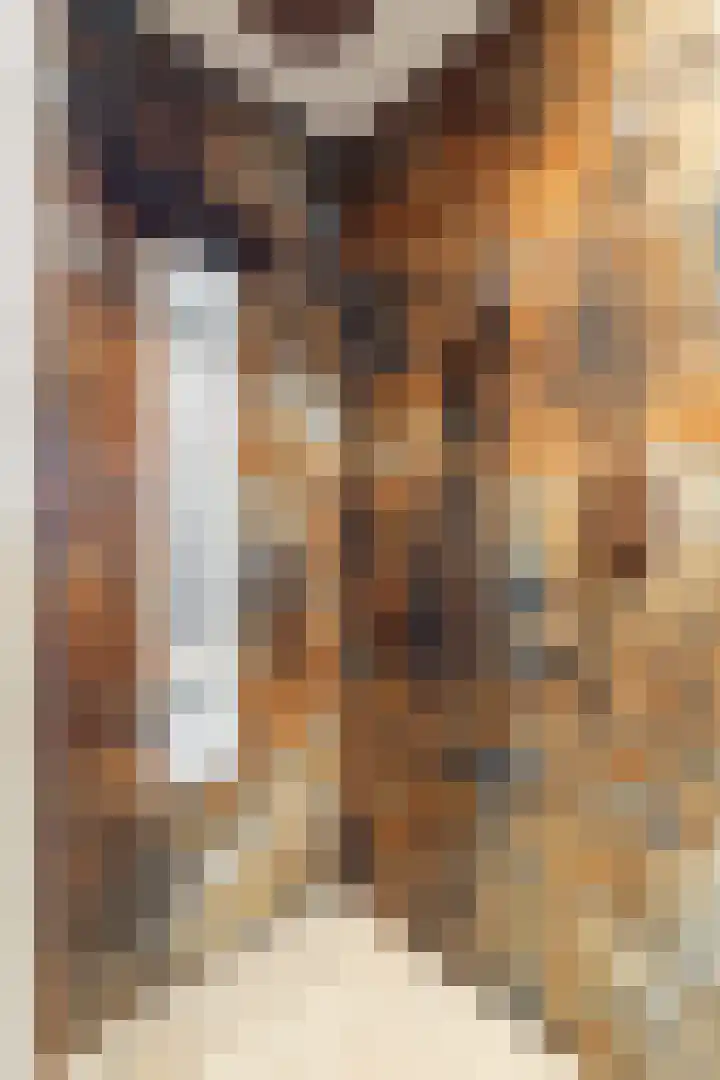 Kommerweg 3 Erica thumbnail 42