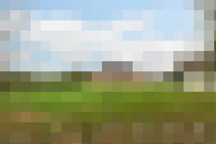 Kommerweg 3 Erica thumbnail 46