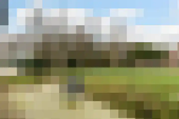 Kommerweg 3 Erica thumbnail 48