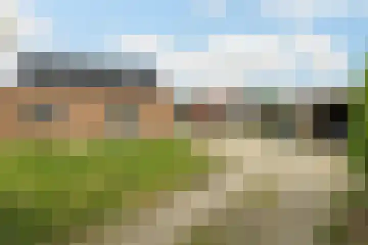 Kommerweg 3 Erica thumbnail 5