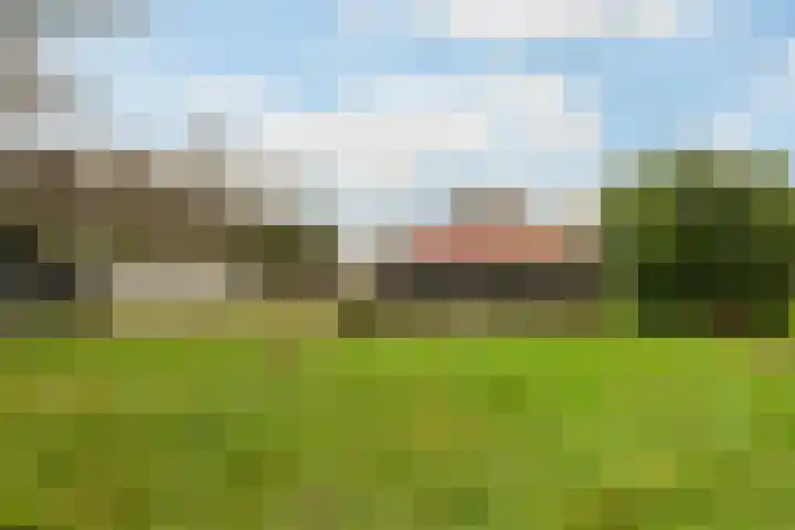 Kommerweg 3 Erica thumbnail 51
