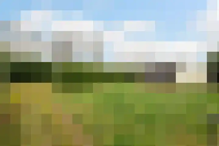 Kommerweg 3 Erica thumbnail 52