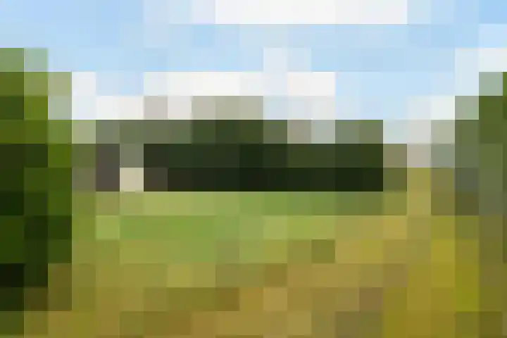 Kommerweg 3 Erica thumbnail 53