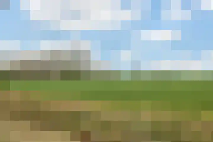 Kommerweg 3 Erica thumbnail 54