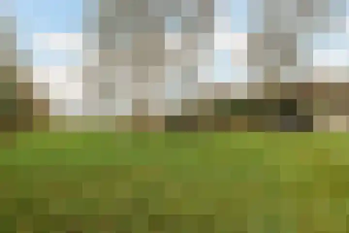 Kommerweg 3 Erica thumbnail 55
