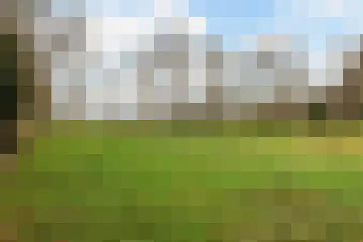 Kommerweg 3 Erica thumbnail 56