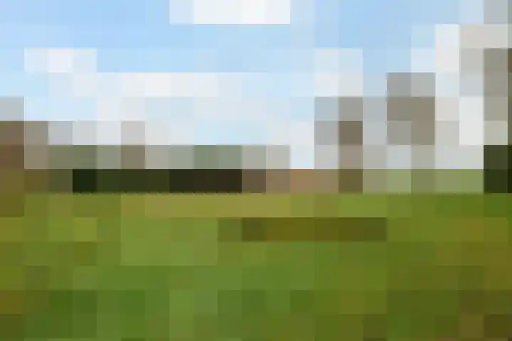 Kommerweg 3 Erica thumbnail 57