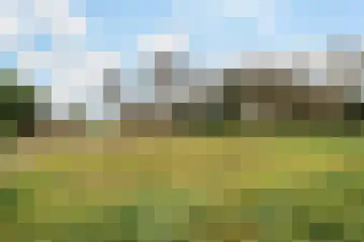 Kommerweg 3 Erica thumbnail 58