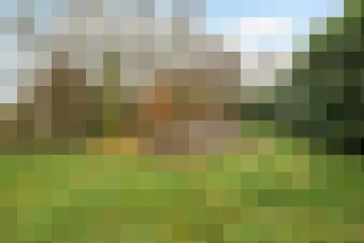 Kommerweg 3 Erica thumbnail 59