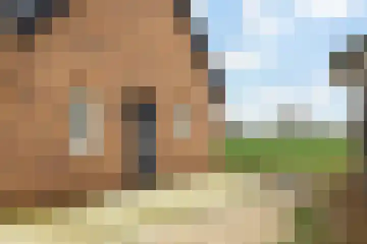 Kommerweg 3 Erica thumbnail 6