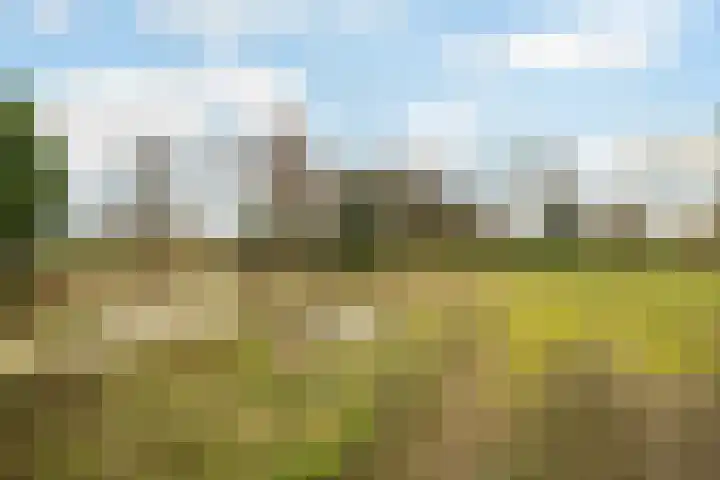 Kommerweg 3 Erica thumbnail 60